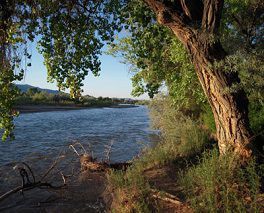 Photo Corrales, NM